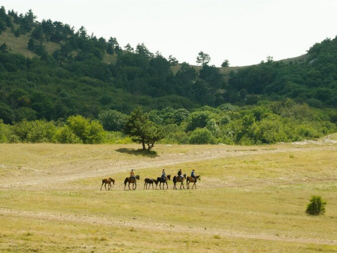 Верховая прогулка в Крыму, фото @jenyalucy/Pixabay.com Летом в Крыму можно посетить массу мест