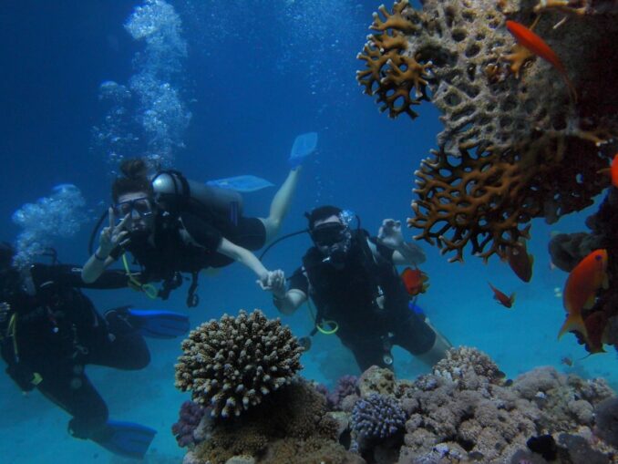 Подводный мир Красного моря Зимой в Египте популярен сноркелинг