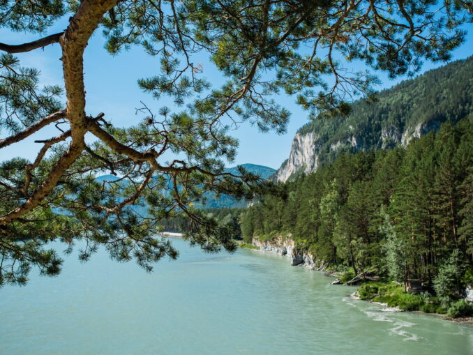 Катунь на Алтае, фото Степанюк В.В. Природа на Алтае замечательно красива и в середине весны