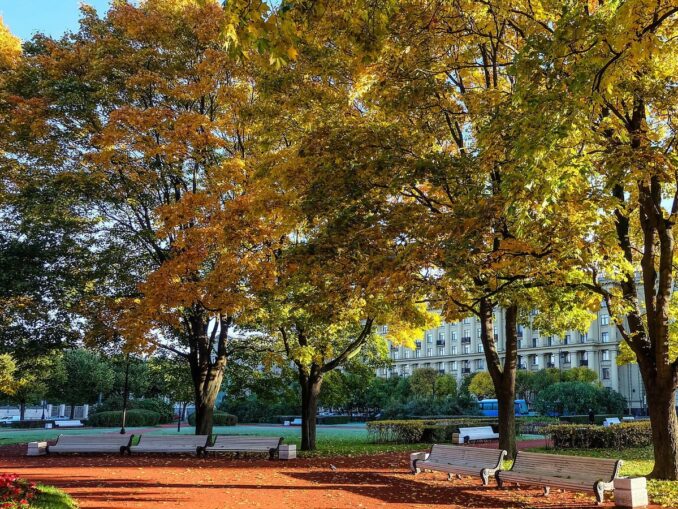 Осенний Санкт-Петербург, фото LuidmilaKot/Pixabay.com Осень - отличное время для посещения Санкт-Петербурга