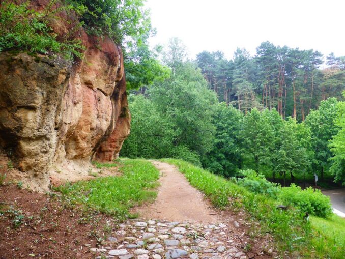 Кисловодский национальный парк летом, фото @Kemal KOZBAEV/Wikimedia Commons В Курортный парк нужно обязательно сходить в Кисловодске