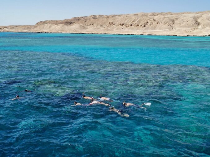 Красное море у берегов Шарм-эль-Шейха, фото @ivabalk-782511/Pixabay.com Дайвинг в Красном море - популярное развлечение