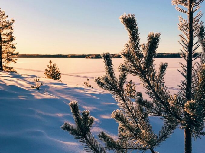 Карелия зимой, фото @Oleg Prachuk/pexels.com Зимой в Карелии можно отдыхать на природе и кататься на лыжах