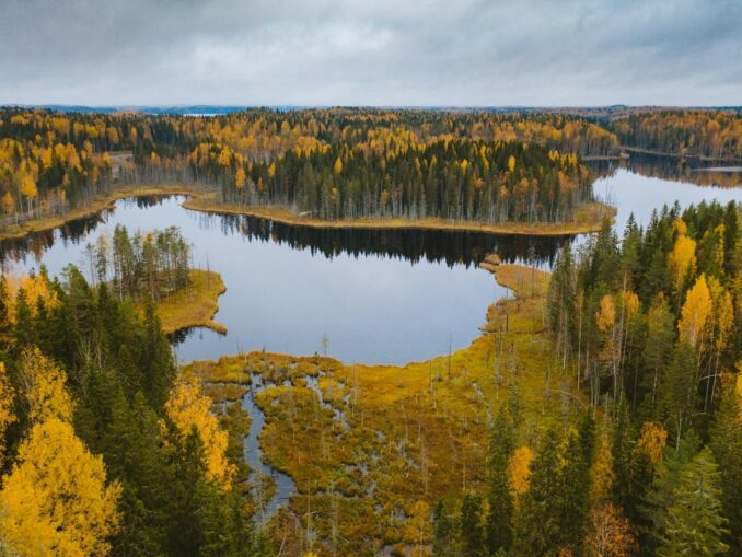 Осенью Карелия очень красива, фото @Yaroslav Shuraev/pexels.com Осень - прекрасное время для поездки в Карелию