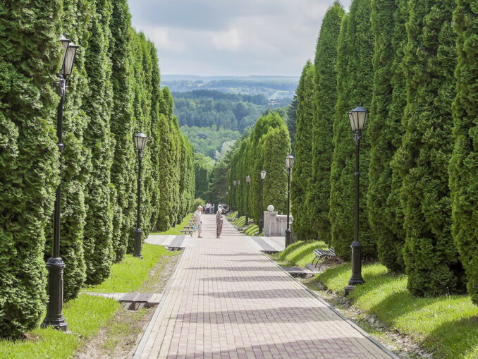 Кипарисовая аллея в Курортном парке Кисловодска, фото @AlixSaz/Wikimedia Commons Кипарисовая аллея - в Кисловодске в июле стоит теплая, но нежаркая погода