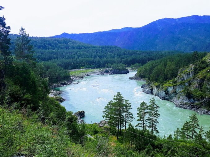 Чемал, Алтай, фото @MARGARITA2302200/Wikimedia Commons В Чемал на Алтае легко поехать на машине