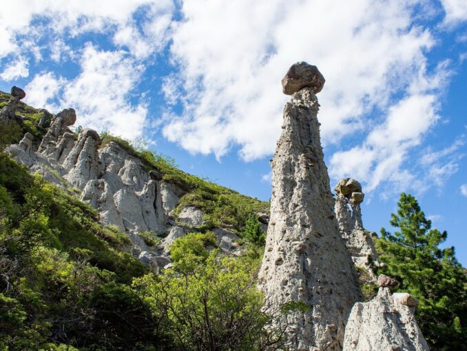 Каменные грибы в урочище Аккурум, Алтай, фото @Tomskceltic/Wikimedia Commons Каменные грибы в урочище Аккурум