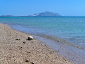 Красное море - в Египте в октябре стоит ехать отдыхать на море