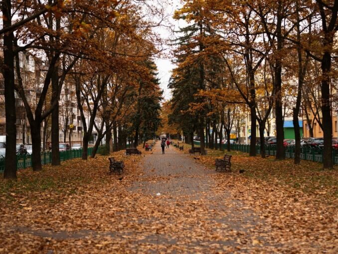 Погода в Минске в ноябре довольно холодна