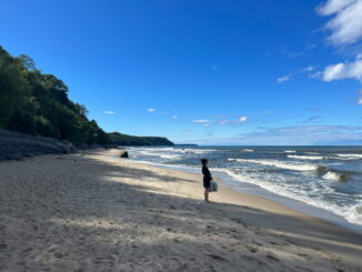 В Светлогорске можно посмотреть не только на море