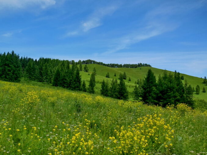 Горный Алтай, фото @Tanya Dedyukhina/Wikimedia Commons В Горном Алтае в июне не всегда стоит теплая и ясная погода