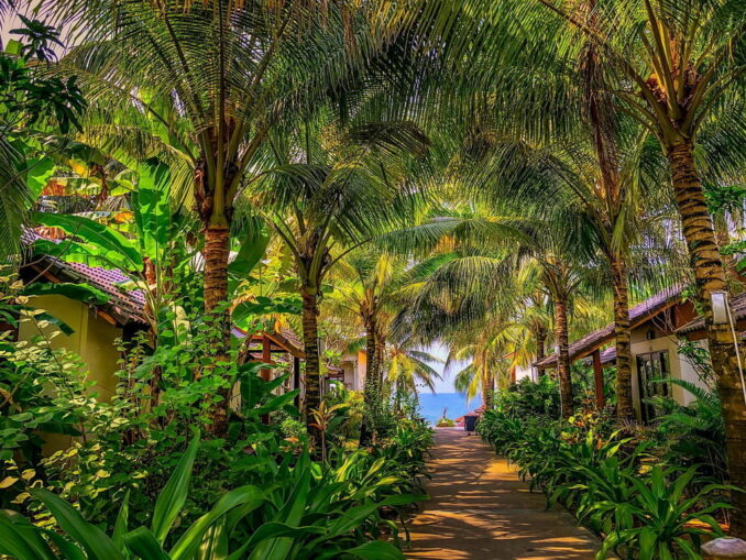 Тропический рай - в Нячанг в июне стоит жаркая погода